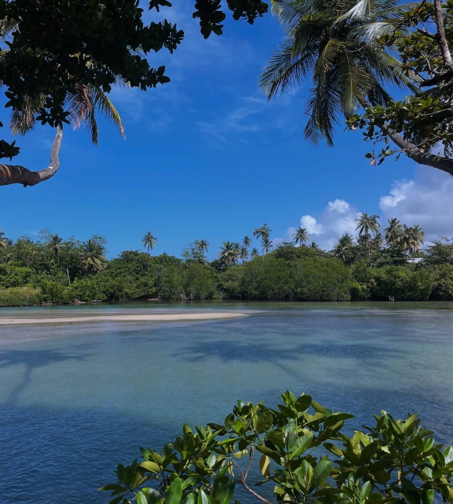 Pristine sandbank and turquoise waters on Koggala Lake, Sri Lanka